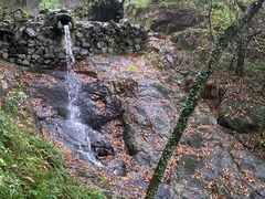 -宁波市保国寺古建筑博物馆