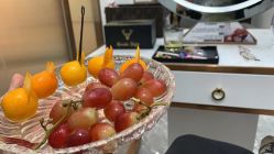 -MODEL SAGA名媛世家