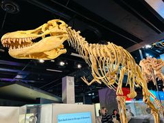 -墨尔本博物馆(Melbourne Museum)
