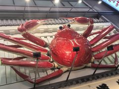 -蟹道乐(道顿堀本店)