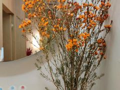 -梅花境(万科店)