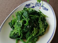 碧绿瓜尖-樽宴酒楼·地道川菜·品质宴请