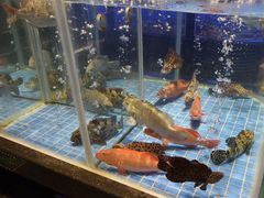 -青蓬蒸汽海鲜·深圳老字号·团建聚会(壹方城店)