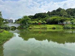 -王借岗森林公园