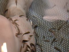 -中家鑫园温泉酒店鑫悦汤泉