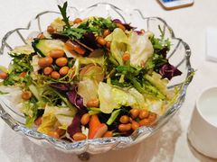 大拌菜-峨嵋酒家(王府井店)