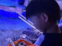 -蓬莱欧乐堡海洋极地世界