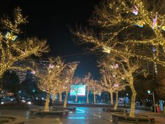 -处州公园