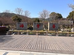 -香雪海