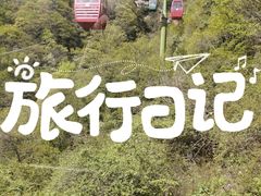 -王顺山国家森林公园