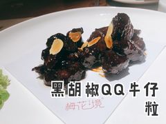 -梅花境(万科店)