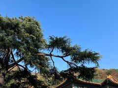 -临江·阅炉