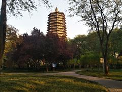-玲珑塔公园