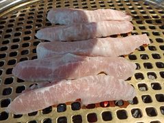 猪颈肉-唯成•韩国炭火烤肉 유성고기