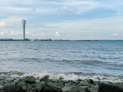 -上海吴淞炮台湾国家湿地公园
