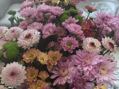 -柏乐口腔医院·舒适化无痛种植牙中心(东盟商务区院)