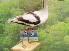 -下渚湖国家湿地公园科普馆