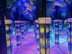 -天津梵高星空艺术馆(天河城旗舰店)