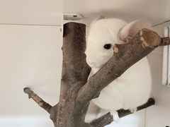 -龙猫仔乐园(惠福东路店)