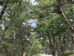 -白玉山景区