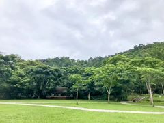 -野象谷景区