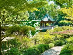 -申粤轩酒楼·三十年粤菜经典(丁香花园店)