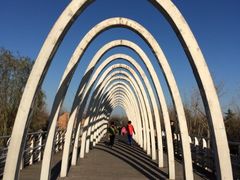 -大兴滨河森林公园