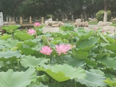 -哈啾嗨·新概念蒙餐(红星新城店)