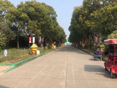 -上海都市菜园