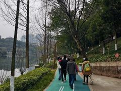 -重庆彩云湖湿地公园