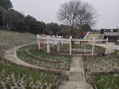 -牛岗山公园
