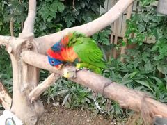 -南宫五洲植物乐园