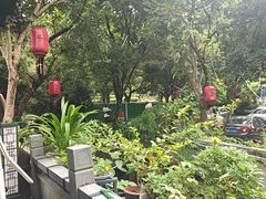 -阿巧茶庄