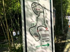 -都江堰中华大熊猫苑
