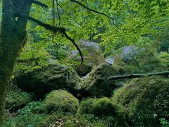 -龙苍沟森林公园