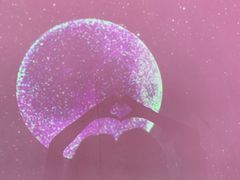 -成都失恋馆