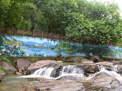 -广州白江湖森林公园