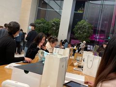-Apple零售店(苏州店)