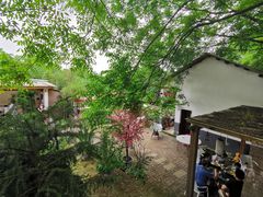-花间酒庭院餐厅(谷山店)