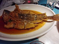 -大树餐厅(益田假日店)