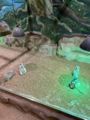 点击看大图 -宝燕乐园(闵行旗舰店)