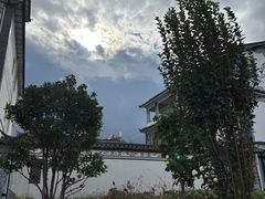 -才村湿地公园