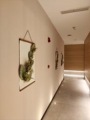 -恒美雅轩·品牌直营连锁