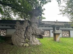 -乐山乌木文化博览苑