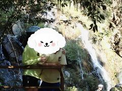 -呀诺达热带雨林