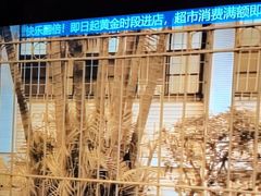 -温莎KTV(珠江路店)