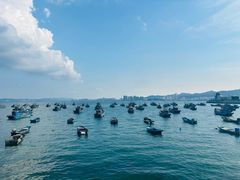 -海源公园