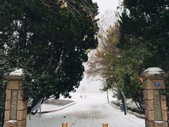 -八大关景区