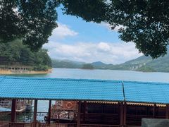 -广州市流溪河国家森林公园