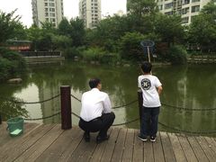 -新湖明珠城